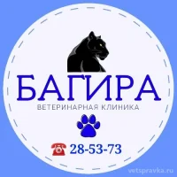 Клиника Багира Фото 2 на проекте VetSpravka.ru Клиника Багира Фото 2 на проекте VetSpravka.ru